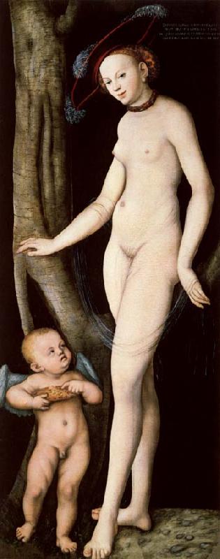 Lucas Cranach the Elder Venus and Cupid Carrying a Honeycomb oil painting image